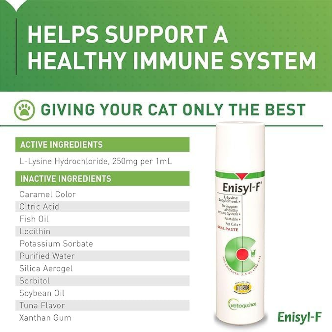 Vetoquinol Enisyl-F Oral Paste for Cats