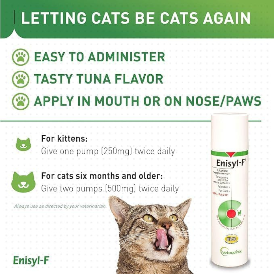 Vetoquinol Enisyl-F Oral Paste for Cats