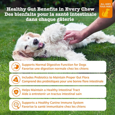 Zesty Paws Probiotics for Dogs