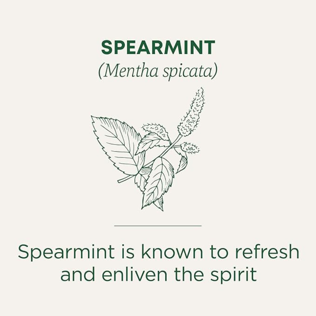 Traditional Medicinals - Organic Spearmint Herbal Tea (Pack of 1) - Refreshing and Minty - 16 Tea Bags Total