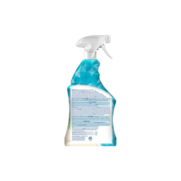 Lysol All Purpose Cleaner Trigger