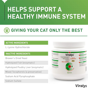 Vetoquinol Viralys Daily L-Lysine Powder