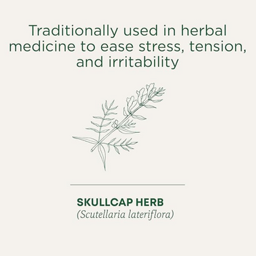 Traditional Medicinals - Organic Stress Soother Herbal Tea (Pack of 1) - Ease Stress, Tension, and Irritability - 16 Tea Bags Total