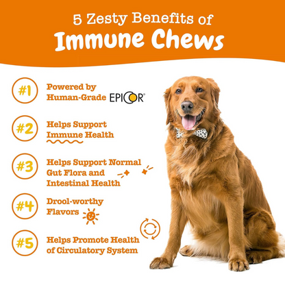 Zesty Paws Immune Chews