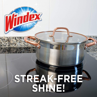 Windex Original Glass and Window Cleaner Wipes