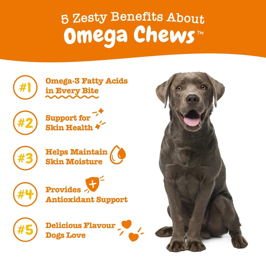 Zesty Paws Omega 3 for Dogs Soft Chews