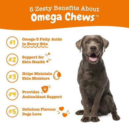 Zesty Paws Omega 3 for Dogs Soft Chews