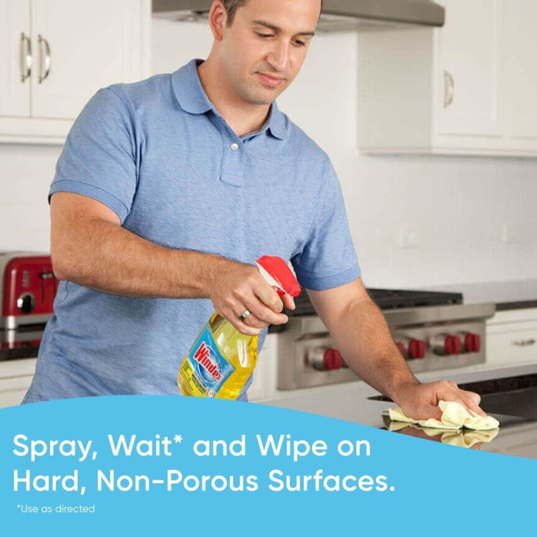Windex Multisurface Kitchen and Glass Cleaner, Removes Fingerprints