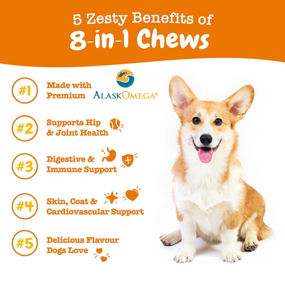 Zesty Paws 8-in-1 Dog Multivitamin Chewables - Digestive & Immune Support