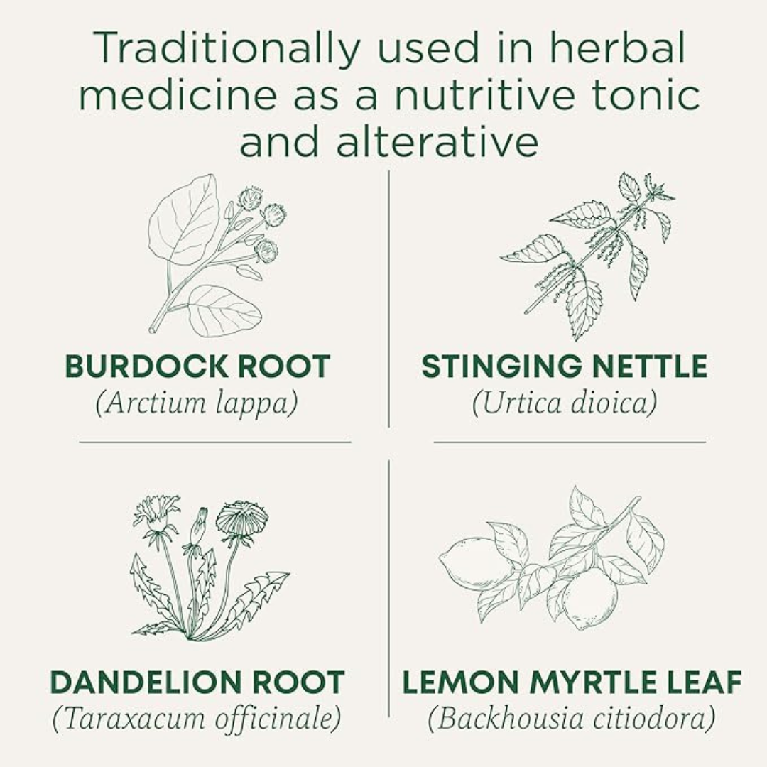 Traditional Medicinals - Organic Everyday Detox Lemon Herbal Tea (Pack of 1)-  16 Tea Bags Total