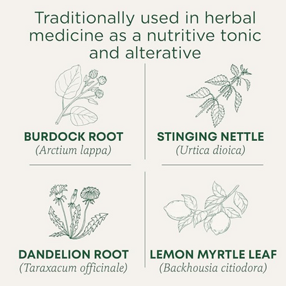 Traditional Medicinals - Organic Everyday Detox Lemon Herbal Tea (Pack of 1)-  16 Tea Bags Total