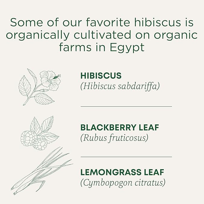 Traditional Medicinals Organic Hibiscus Herbal Tea