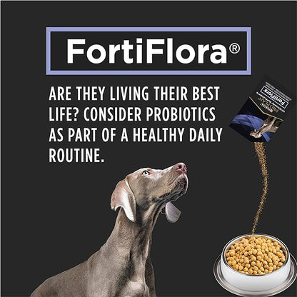 Fortiflora Powdered Dog Probiotics 30 g sachets (Pack of 30)